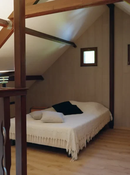 Still 2024-06-28 144813_1.2.1